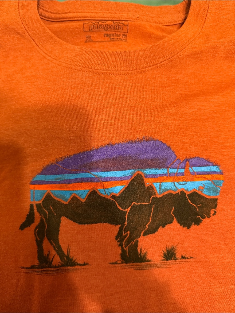 Patagonia Orange Tee with Purple and Blue Buffalo Graphic